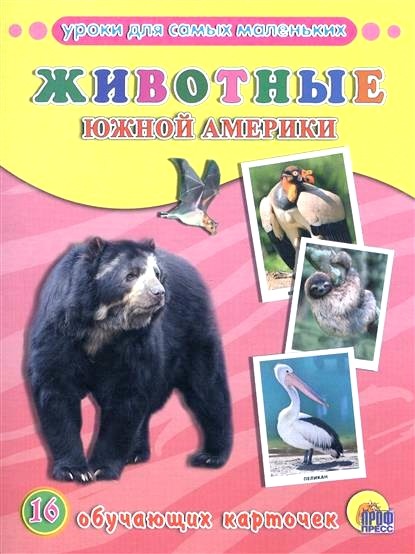 Обложка книги Животные Южной Америки. 16 обучающих карточек 