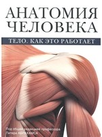 Анатомия человека. Тело. Как это работает