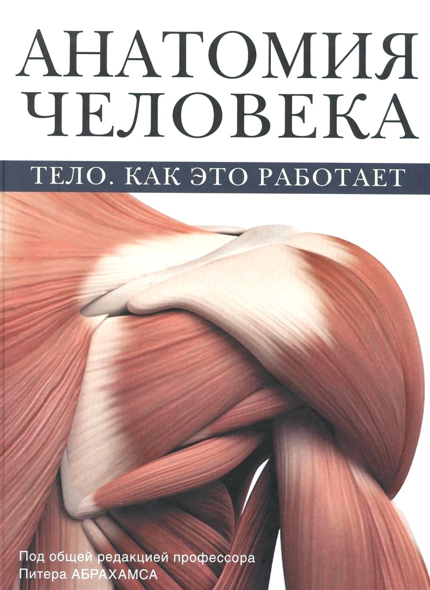 Обложка книги Анатомия человека. Тело. Как это работает 