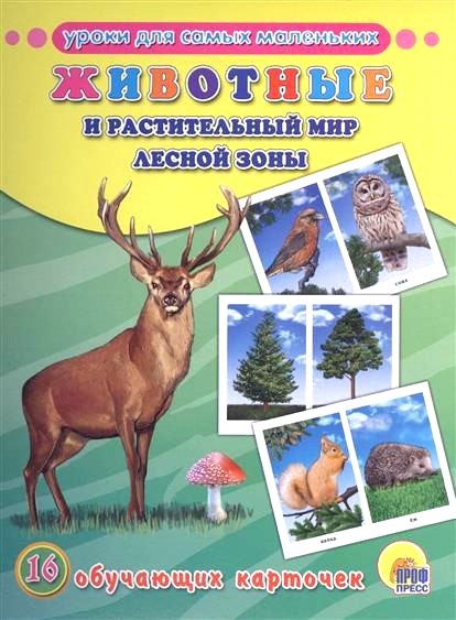 Обложка книги Животные и растительный мир лесной зоны. 16 обучающих карточек 