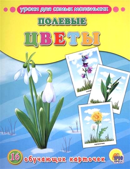 Обложка книги Полевые цветы. 16 обучающих карточек 