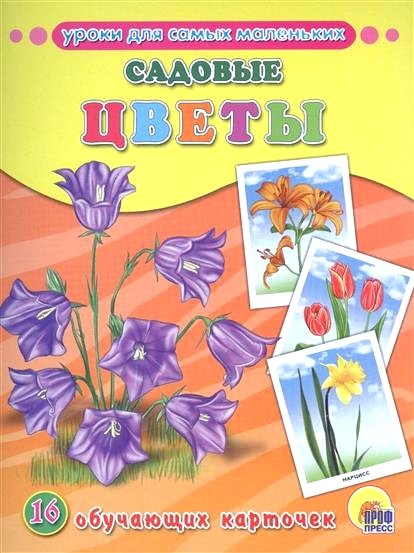 Обложка книги Садовые цветы. 16 обучающих карточек 